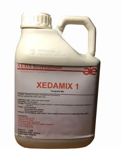 [123] واکس XEDASO